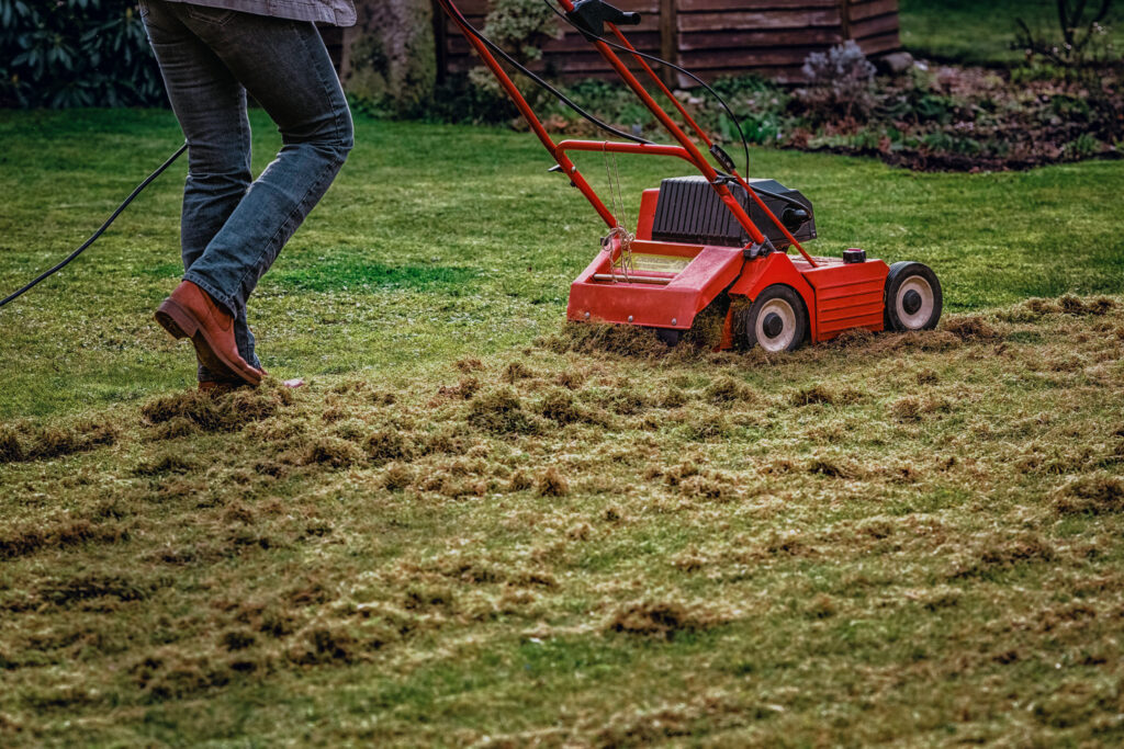 Dethatching Lawn Services