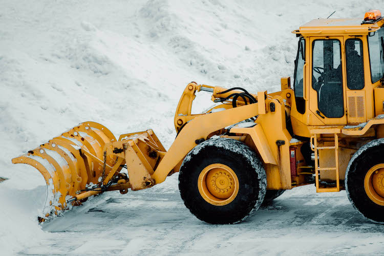 elite-lawn-care-201026-175144-750px