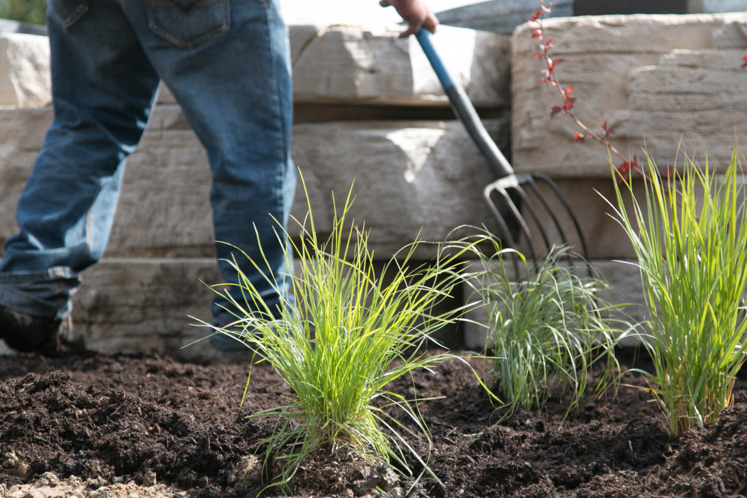 elite-lawn-care-170508-102704