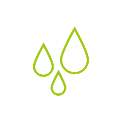 improve-water-and-fertilizer-intake-green