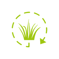 overall-turf-health-improvement-green
