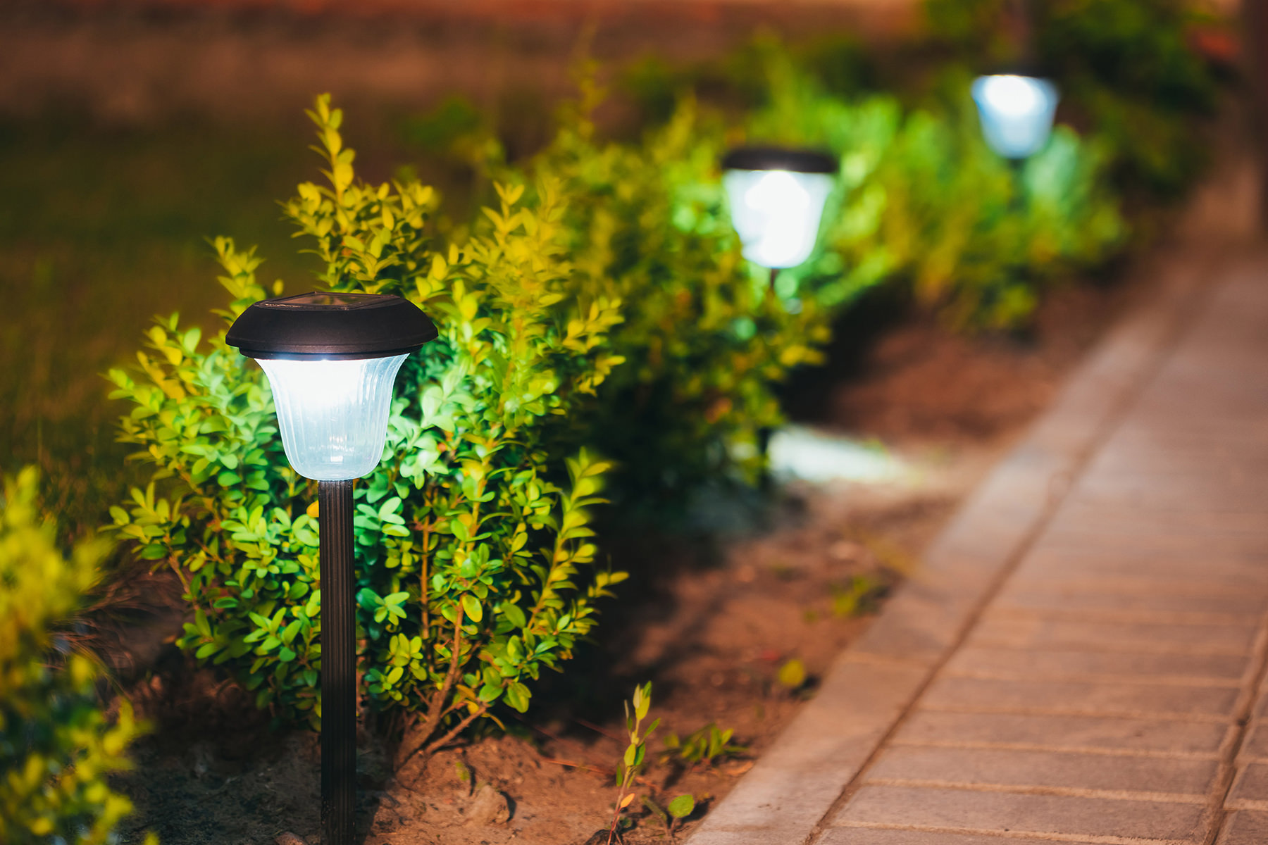 plant-lighting-along-pathway