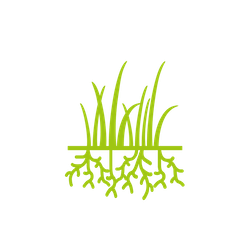 turf-health-icons-green