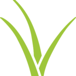 2021-elite-lawn-care-favicon-grass-modern-150x150