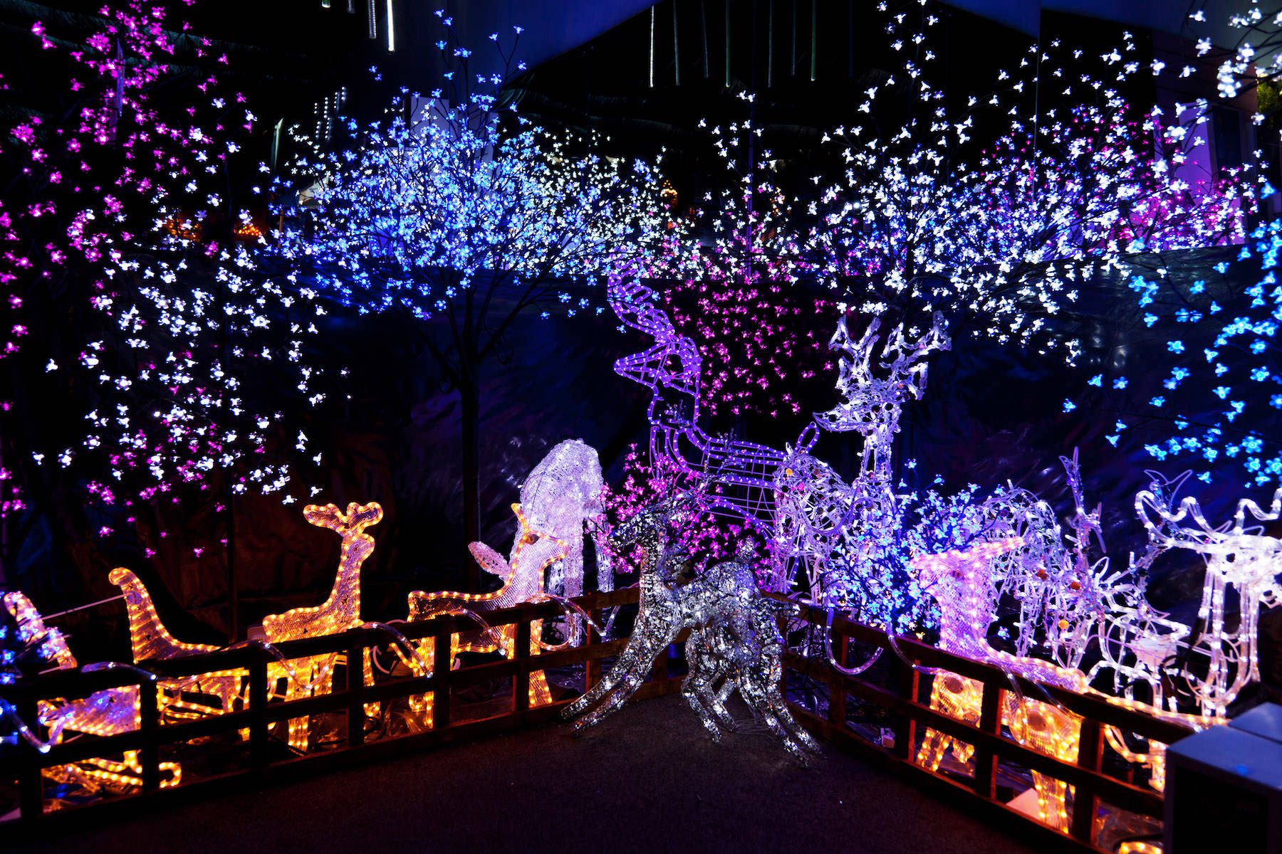 Holiday decoration company near me