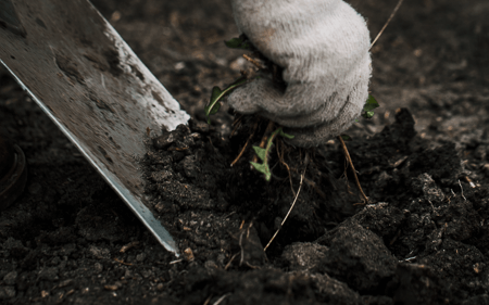 elite-lawn-care-160413-085829-450px-web