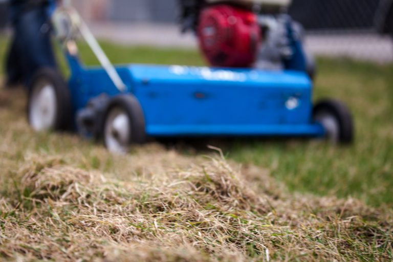residential-lawn-dethatching-in-crystal-lake-il-768x512