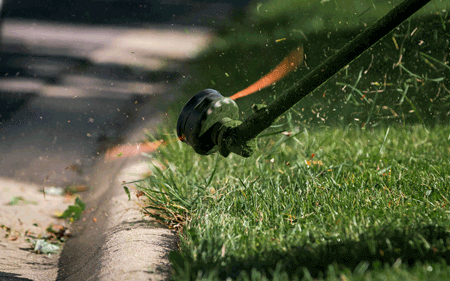 elite-lawn-care-180926-090805-450px-web