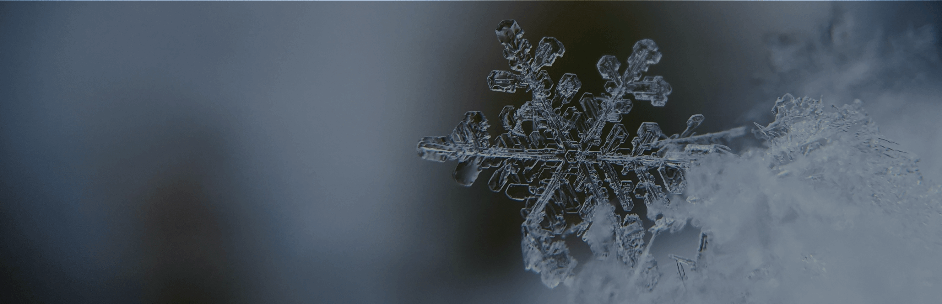 2020-snow-estimate-banner-1-1