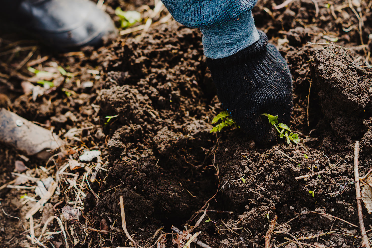 weed-pulling
