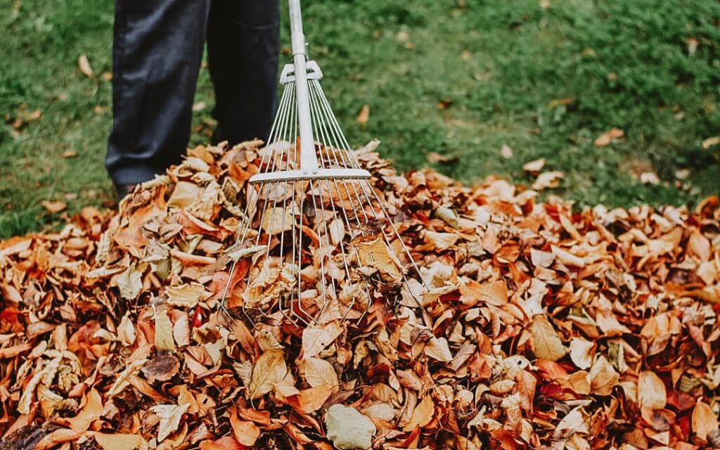 elite-lawn-care-fall-clean-up-01-1024x640.jpg
