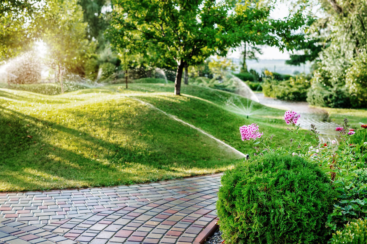 elite-lawn-care-guide-for-a-perfect-lawn