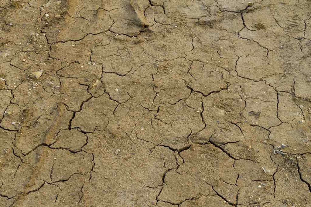 dry-compressed-soil-1024x683.jpg