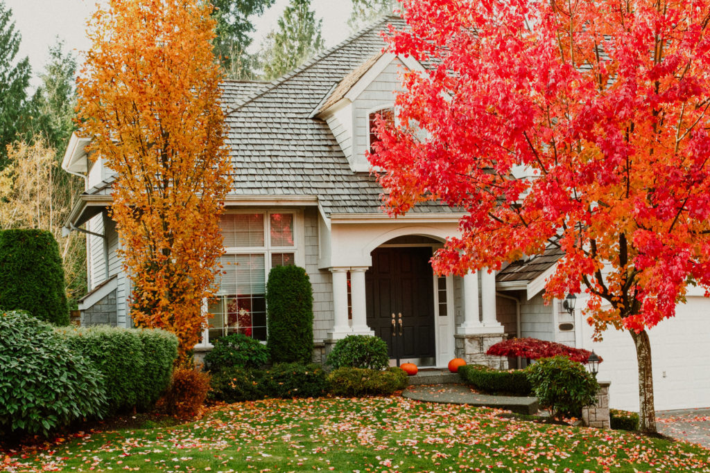 front-yard-in-the-fall-2-1024x683.jpg