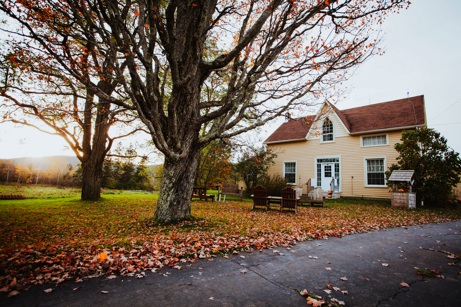 house-with-leave-in-front-yard-2