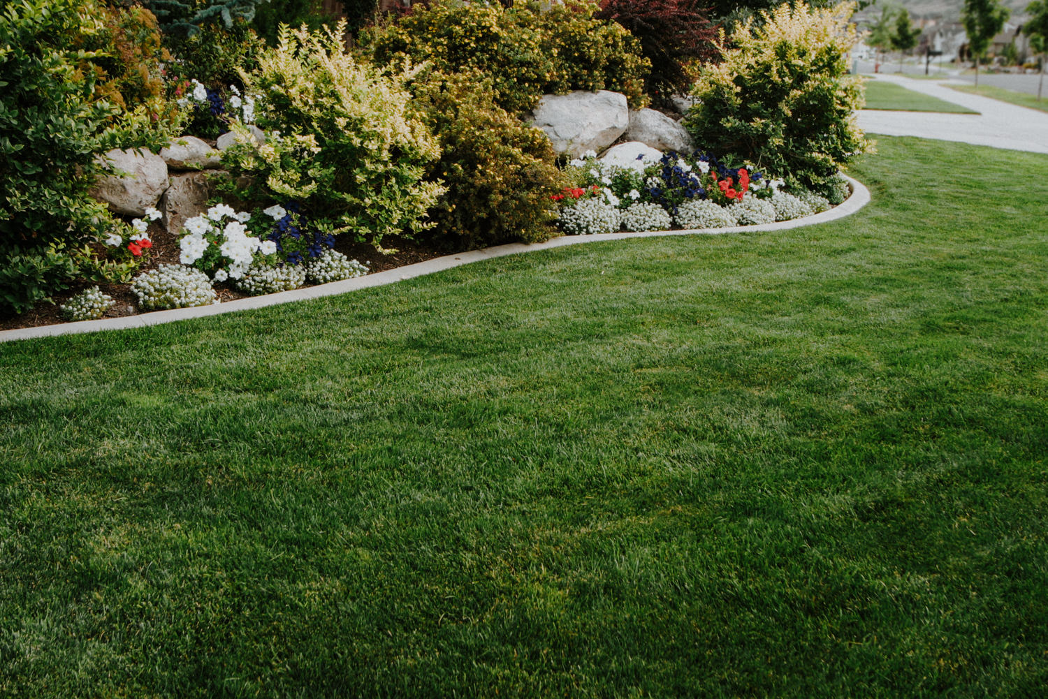 lawn-fertilization-for-green-grass-2