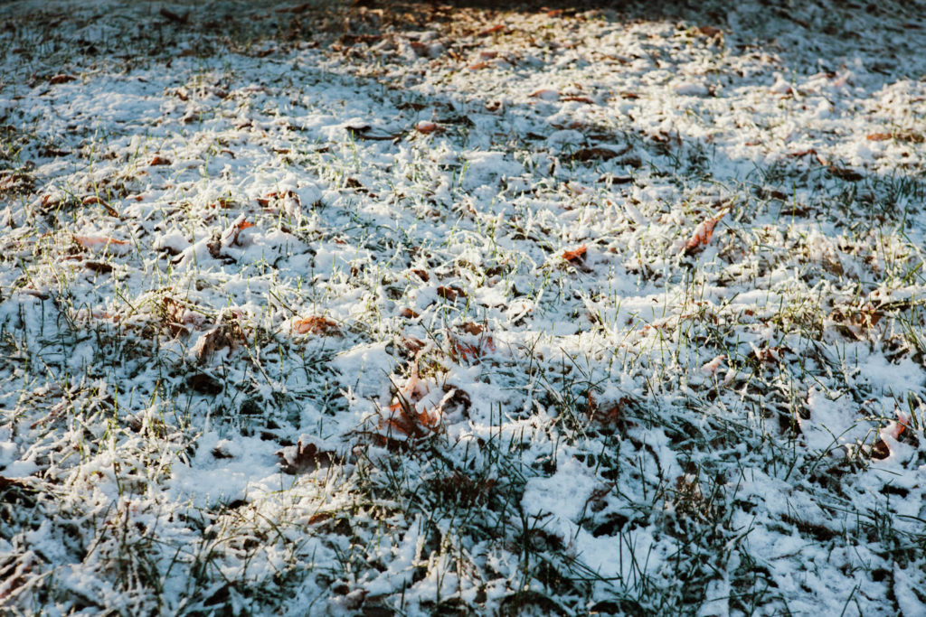 snow-in-lawn-2-1024x683.jpg