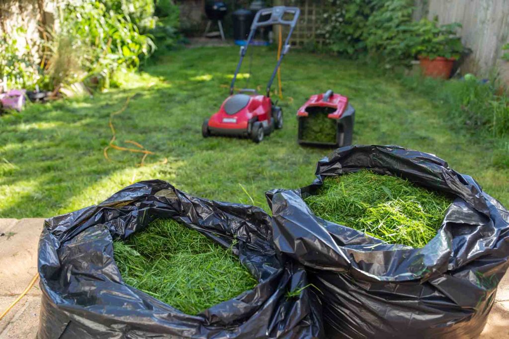 Bagged grass clippings
