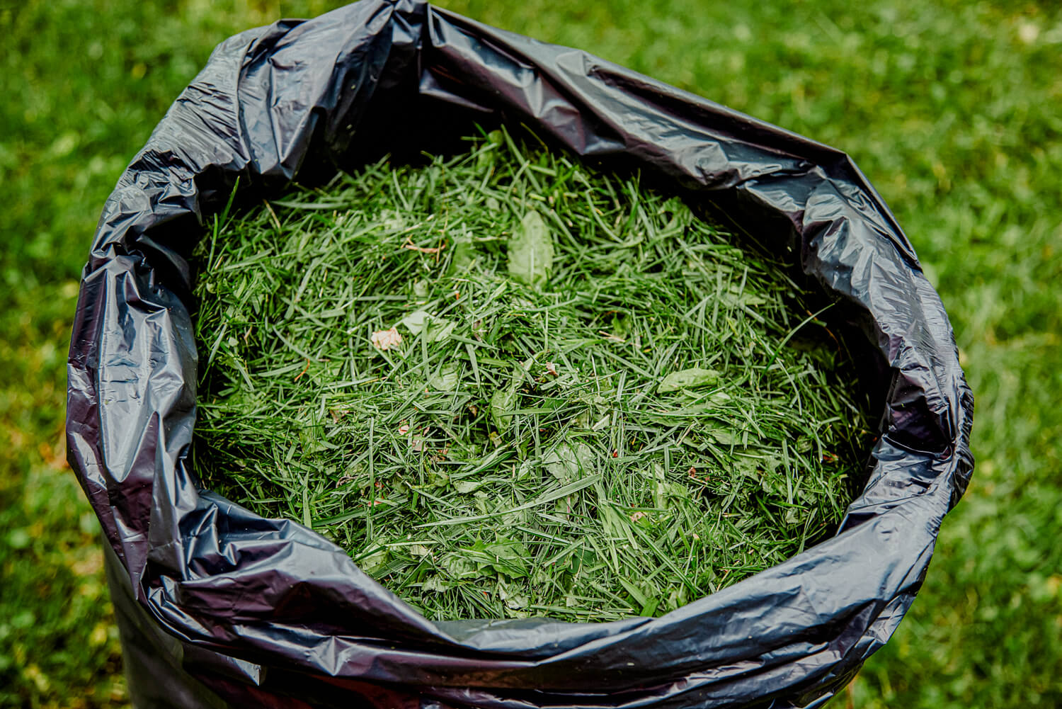 elite-lawn-care-grass-clippings-2