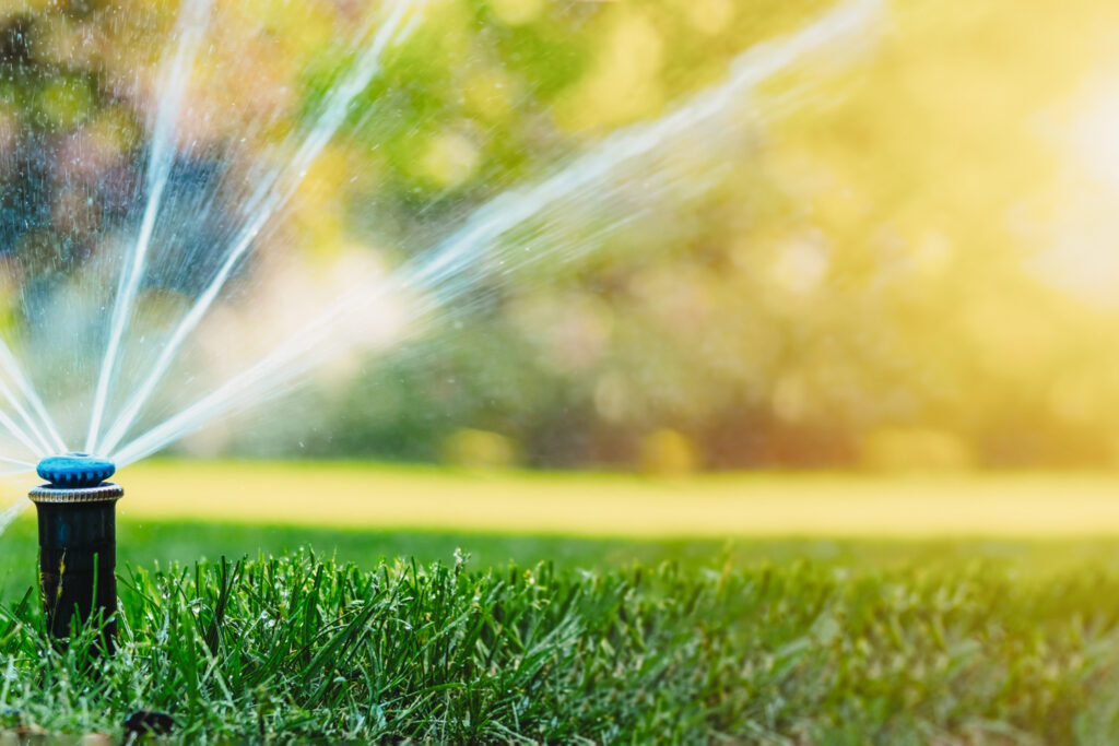 Lawn watering best practices