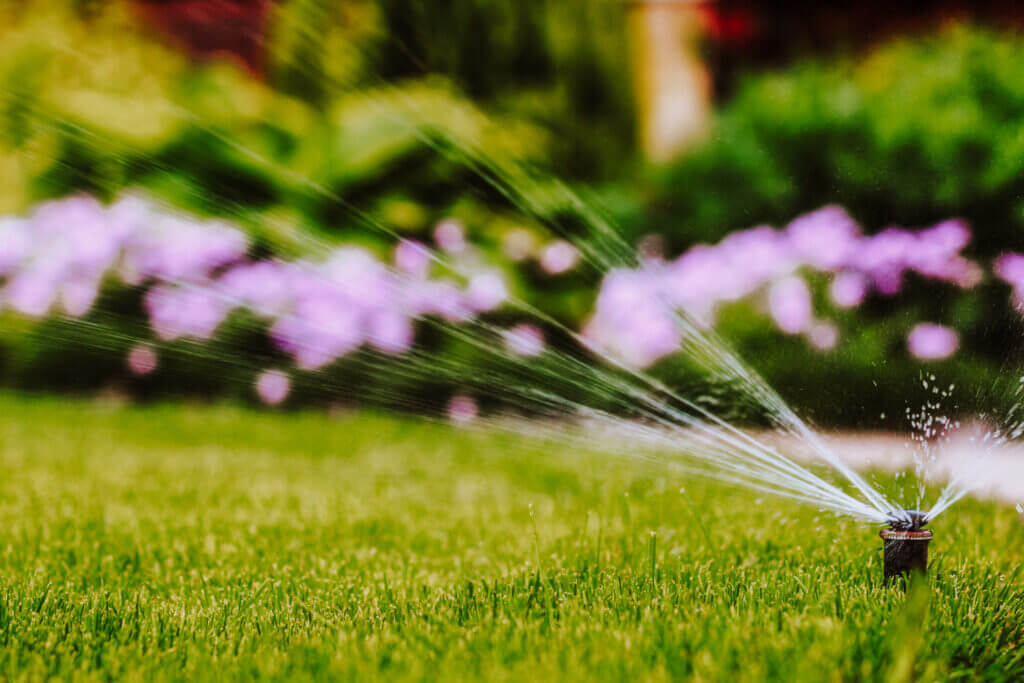Morning lawn watering
