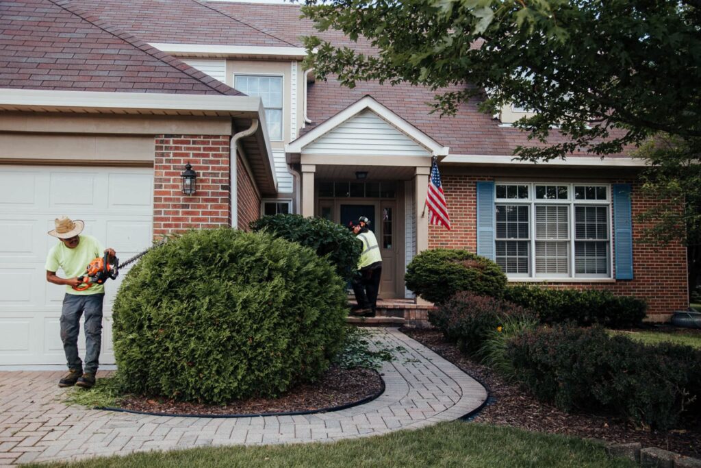 bush-hedge-trimming-1024x683