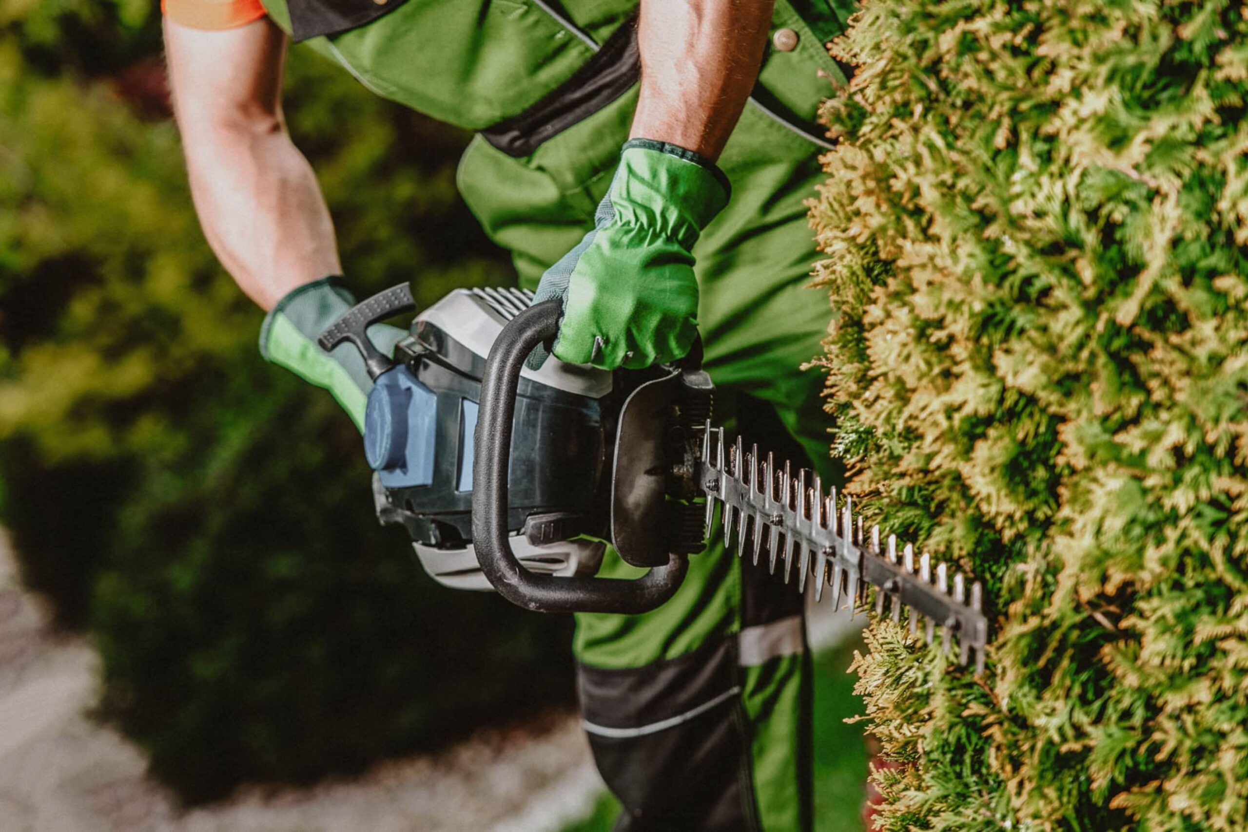 bush-trimming-2-scaled