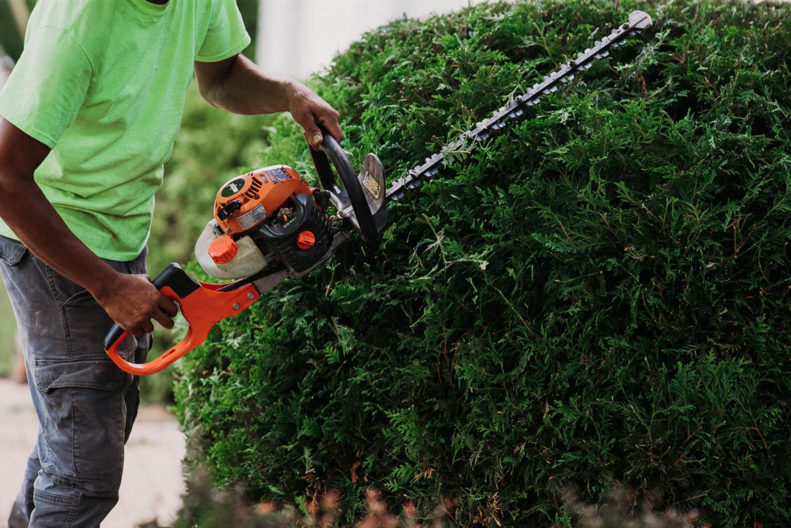 bush-trimming-scaled