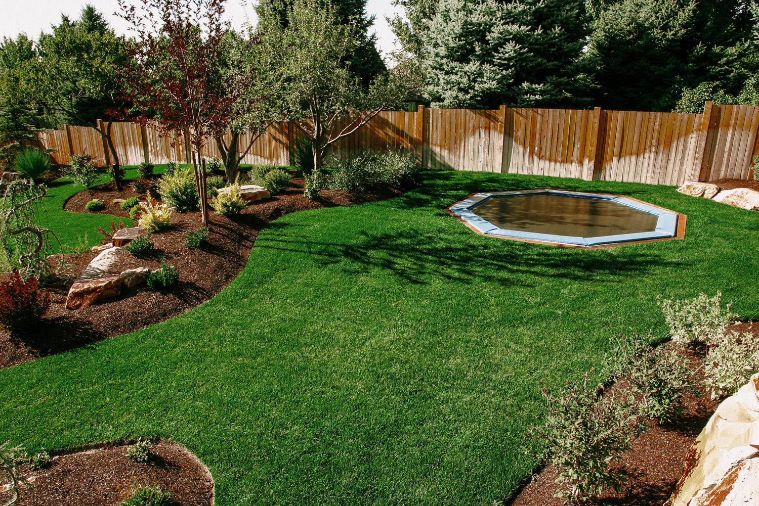 backyard-with-routine-lawn-care