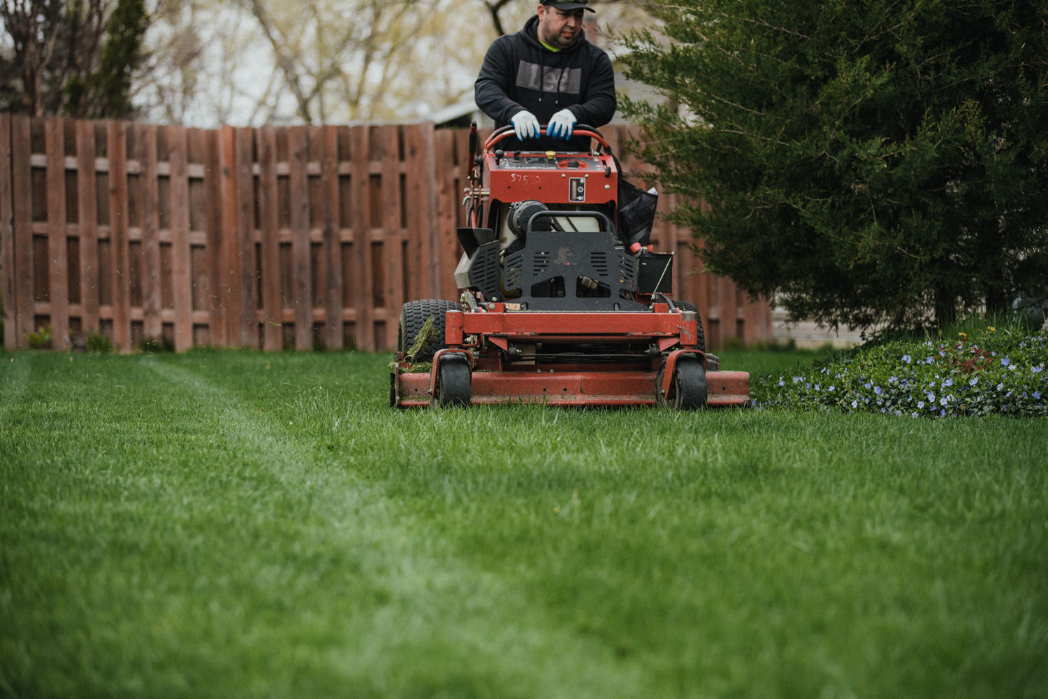 elite-lawn-care-2024-lawn-mowing-16