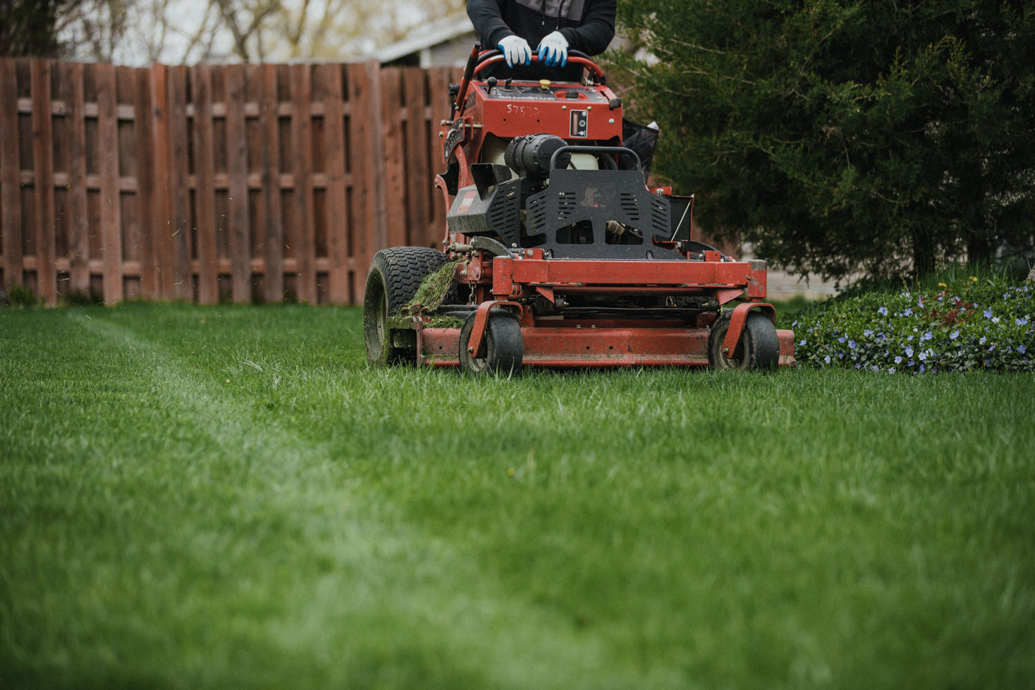 elite-lawn-care-2024-lawn-mowing-17