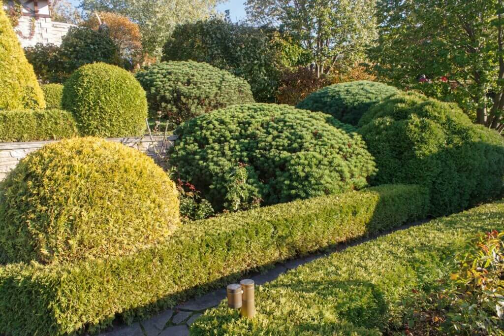 Well-maintained garden with trimmed bushes