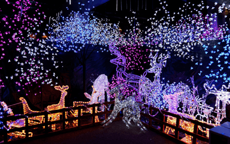 elite-lawn-care-111106-124912-450px-web-qaj5uulmp6r04vq3ef2re8vt8o51qe33pfg0kzufzu