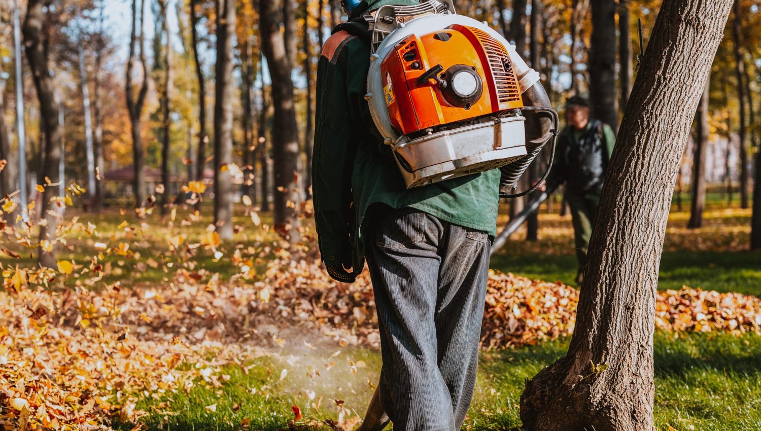 Fall leaf clean-up services for residential properties