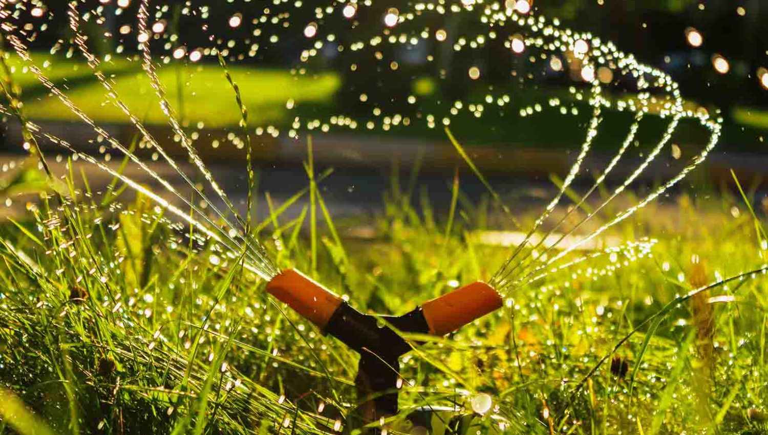 Rotating sprinkler watering lawn