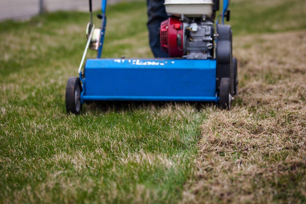 Dethatching-company-in-Crystal-Lake-IL