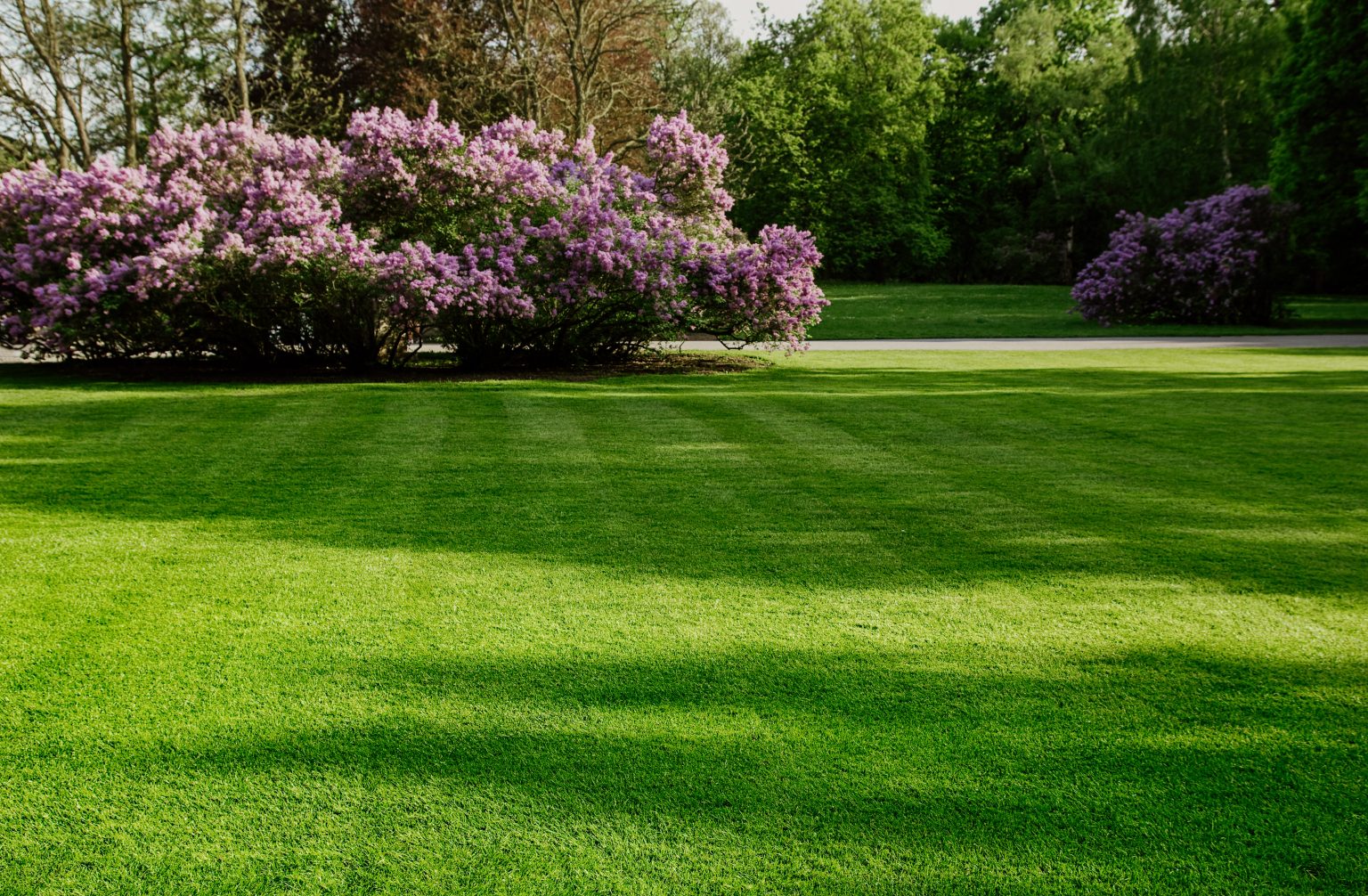 Lawn Mowing Service Crystal Lake Lawn Care Elite Lawn Care