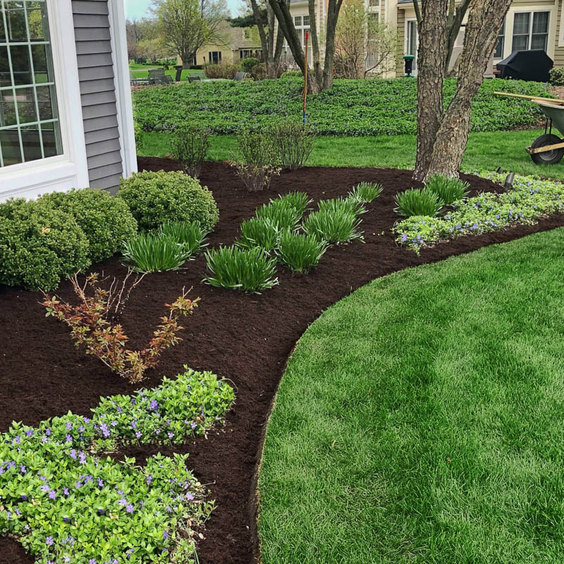 Spring Cleanup Service - Spring Yard Cleanup Crystal Lake | Elite Lawn Care