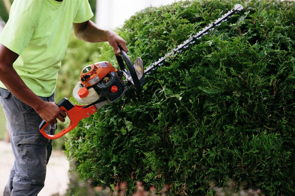 Bush Trimming Is A Game Changer - Elite Lawn Care