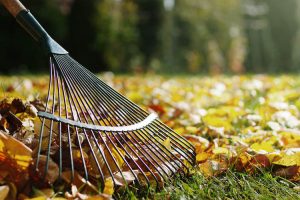 Why should my property have a Fall Leaf Clean-Up?