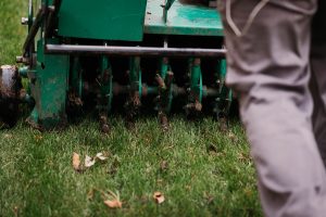 Core Aeration Services 1