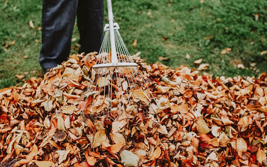 Elite Lawn Care - Fall Clean Up