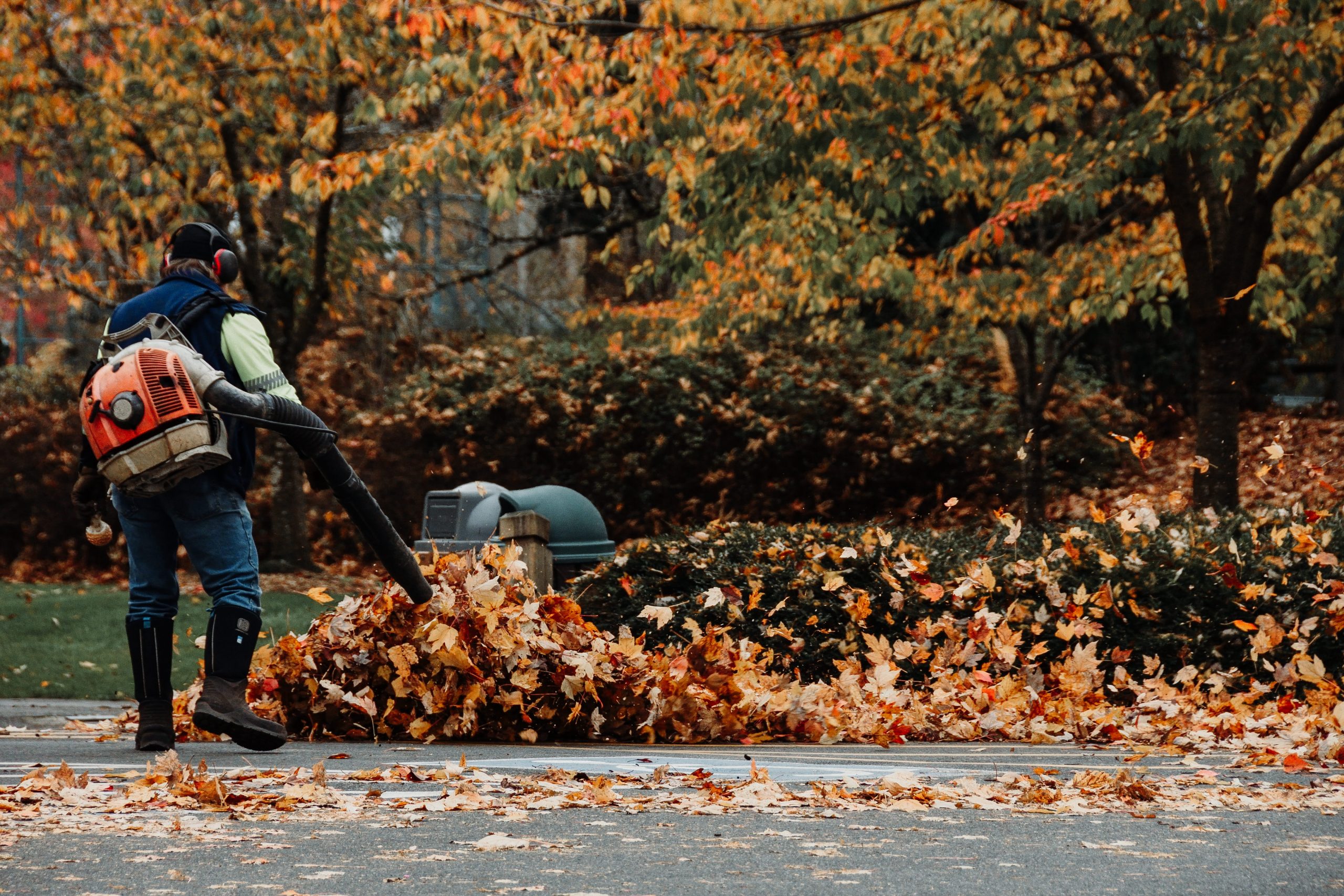 Read more about the article When should I do a fall clean-up in Chicago?