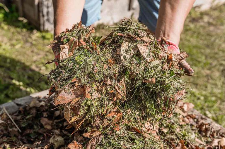 Organic Mulch