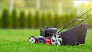 The Benefits of Weekly Mowing shows featured image