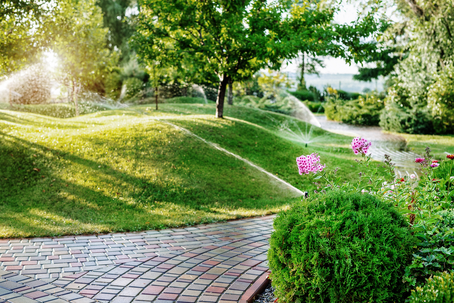 Read more about the article Step-By-Step Guide For A Perfect Lawn In Illinois