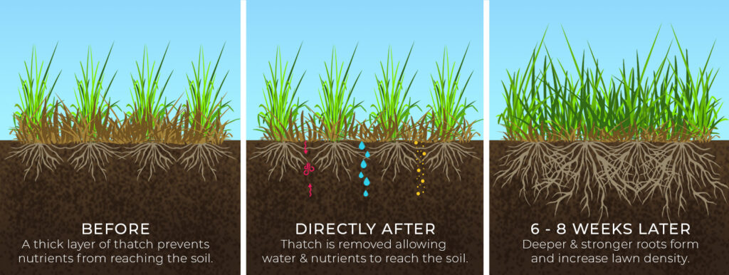 Elite Lawn Care - Dethatching Chart