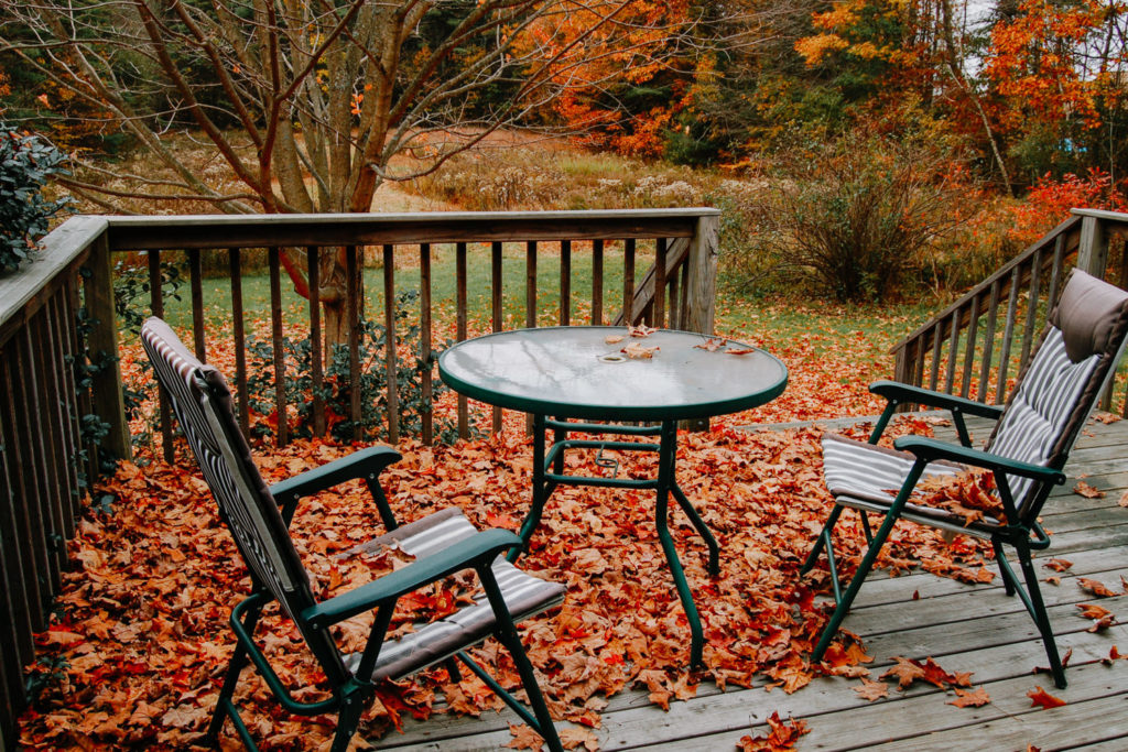 Fall Yard Clean Up Services
