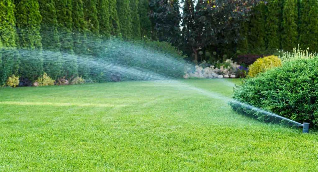 Sprinklers watering a beautiful lawn