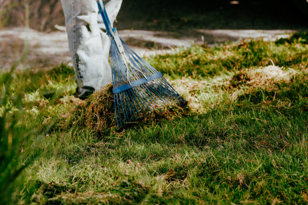 Fall Lawn Care Maintenance Schedule - Dethatching